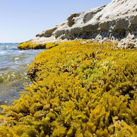 فيلا Casotto Il Carrubo, A 100 Mt Dal Mare! أفولا المظهر الخارجي الصورة