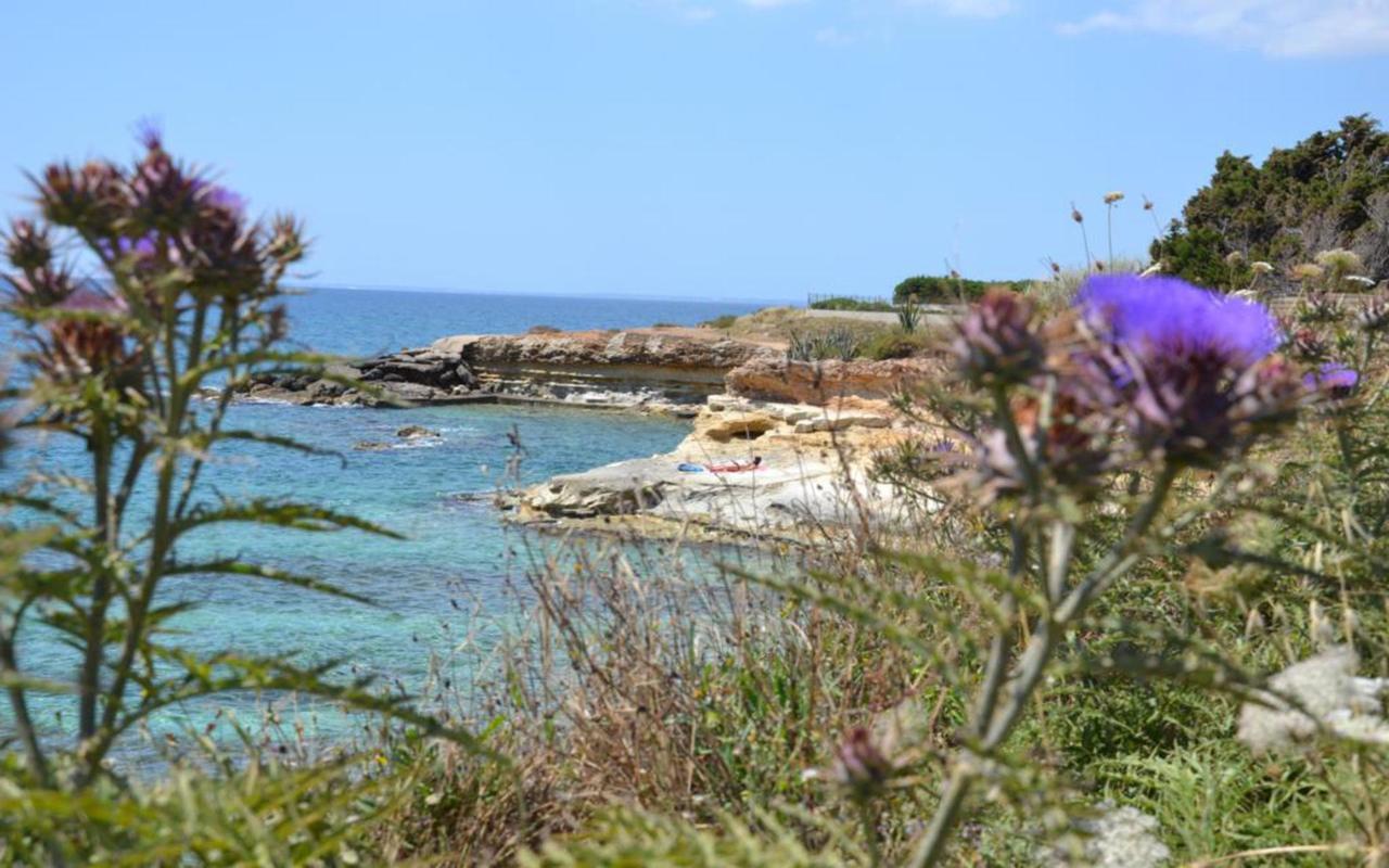 فيلا Casotto Il Carrubo, A 100 Mt Dal Mare! أفولا المظهر الخارجي الصورة